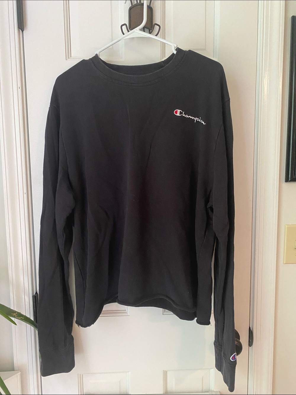 Champion cropped sweatshirt